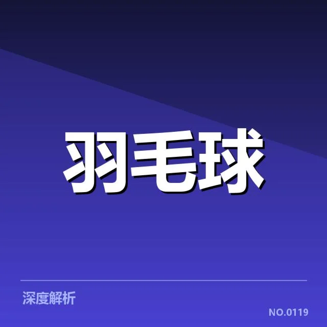 女双战术配合解读:细节揭示背后战术布局与选手默契