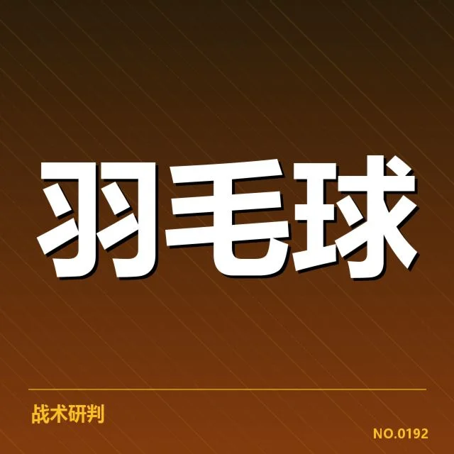 场上争议与不同战术偏向